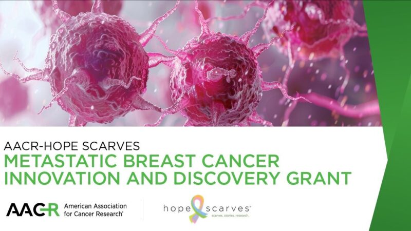 One-Year Grant of $50,000 for Promising Ideas in Metastatic Breast Cancer Research – AACR