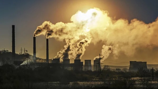 Mario Balsa: New Nature Study on Lung Cancer in Never Smokers Reveals Key Mutational Forces