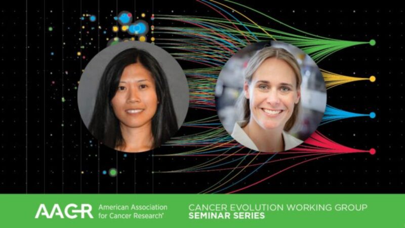 Evolving Models: Organoids and Mathematical Frameworks for Drug Response Dynamics – AACR