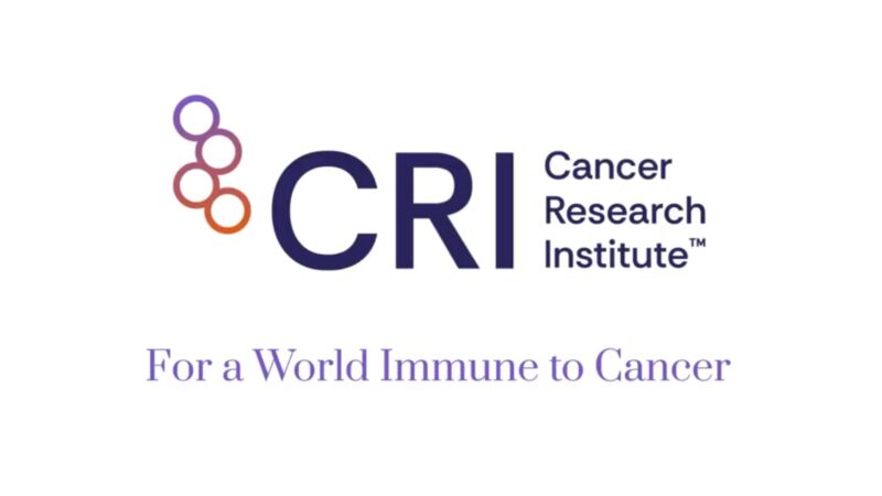 How Reprogramming T Cell Energy Boosts Cancer-Fighting Power – Cancer Research Institute