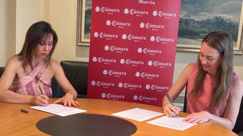 The Chamber of Commerce of Murcia supports the Fundación Aladina