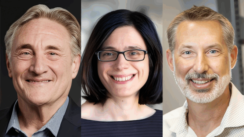 2025 Recipients of CRI’s Sientific Awards