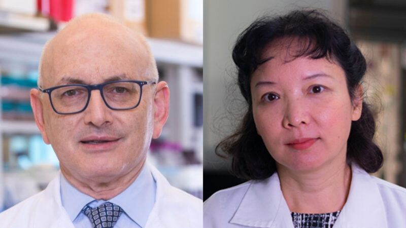 How TAF1 Molecule Regulates Hematopoiesis – Sylvester Comprehensive Cancer Center