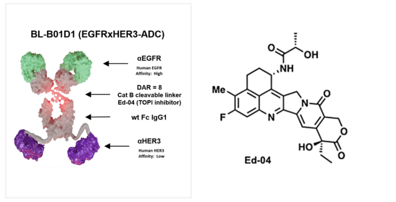 Paolo Tarantino: First Positive Phase 3 Trial for a Bispecific ADC