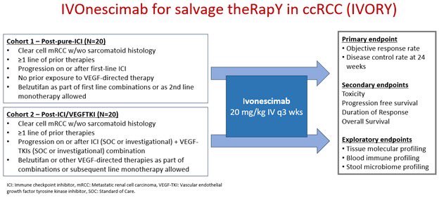 Pavlos Msaouel: IVORY Trial of Ivonescimab in Metastatic Clear Cell Kidney Cancer is Now Enrolling
