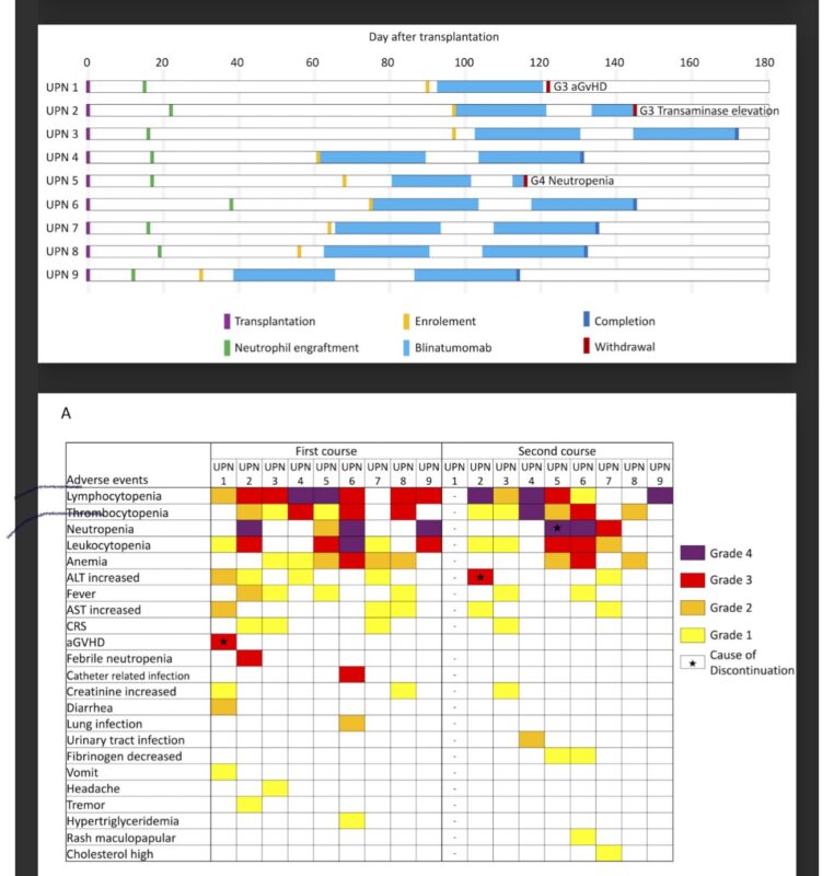 Talha Badar: Early View of the Phase 1 Study of Blinatumomab Post alloHCT