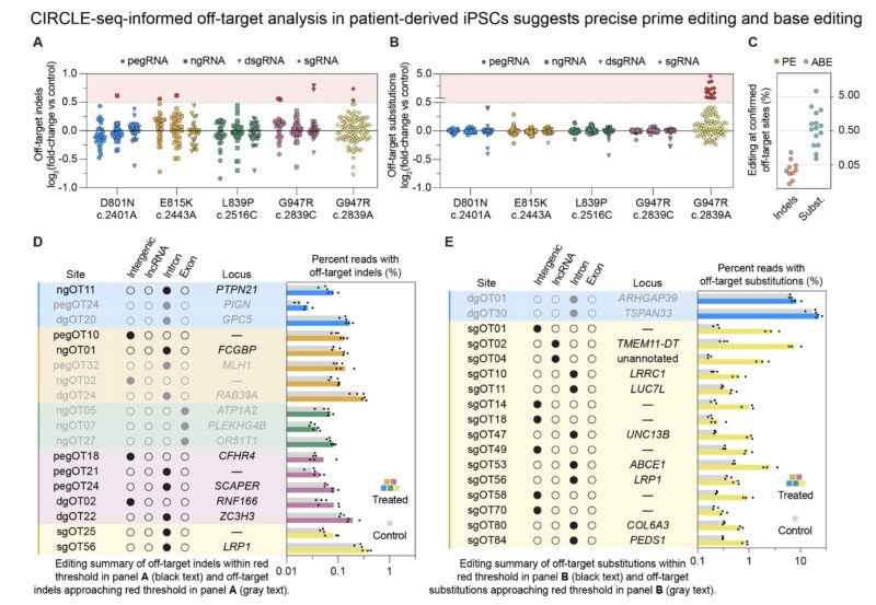 The Use of Prime Editing