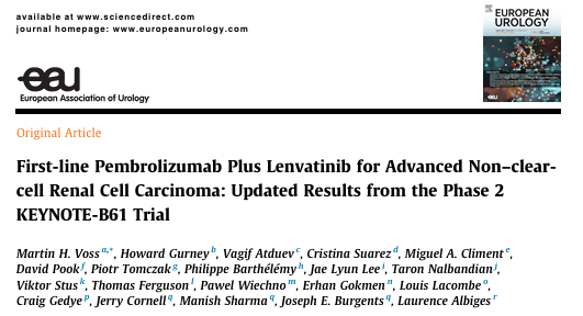 Yüksel Ürün: A Promising Option for Non–Clear-Cell Renal Cell Carcinoma