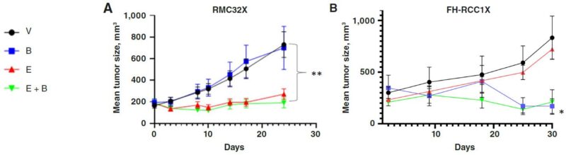 Bevacizumab 