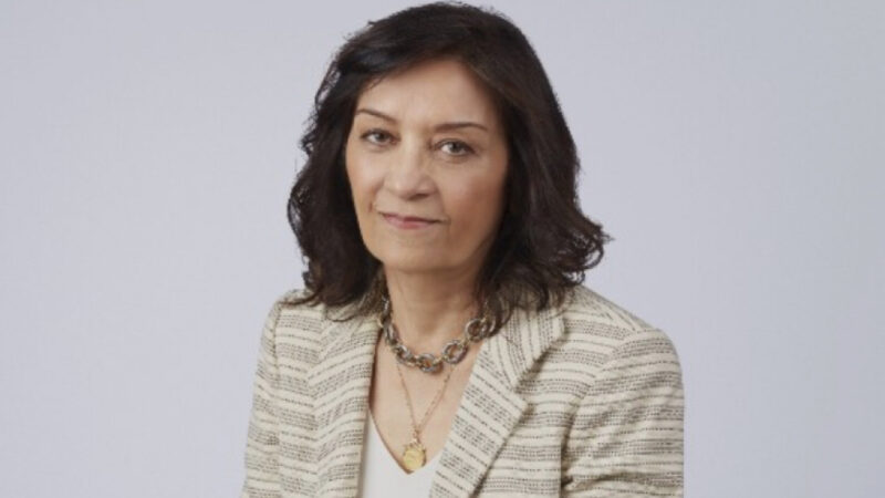 Paving the Way for a New Class of Off-The-Shelf Cellular Cancer Vaccine – Cancer Research Institute