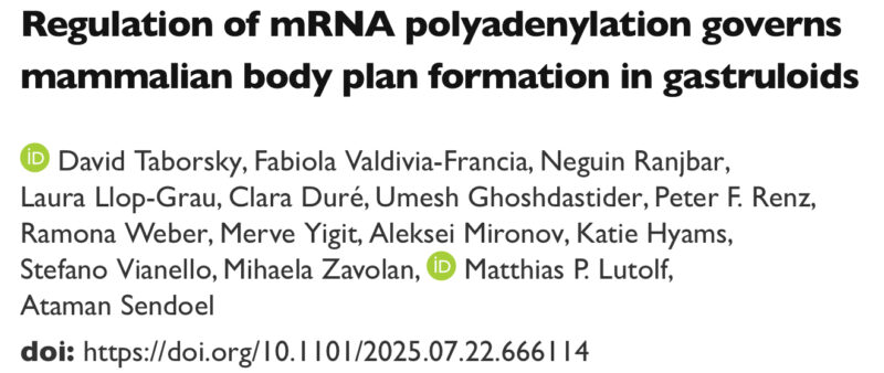 Alfonso Martinez Arias: How to Use Granuloids in Transcriptional Regulation of Gene Expression