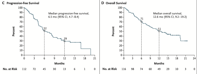KRYSTAL-1 results on OncoDaily