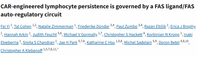 Yan Leyfman: Boosting CAR-T/NK Cell Persistence via the FAS Pathway