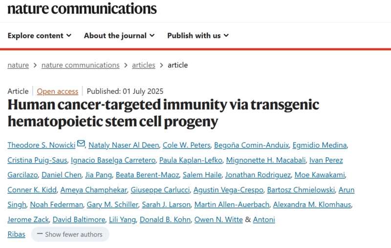 Tumor-targeting T Cells 
