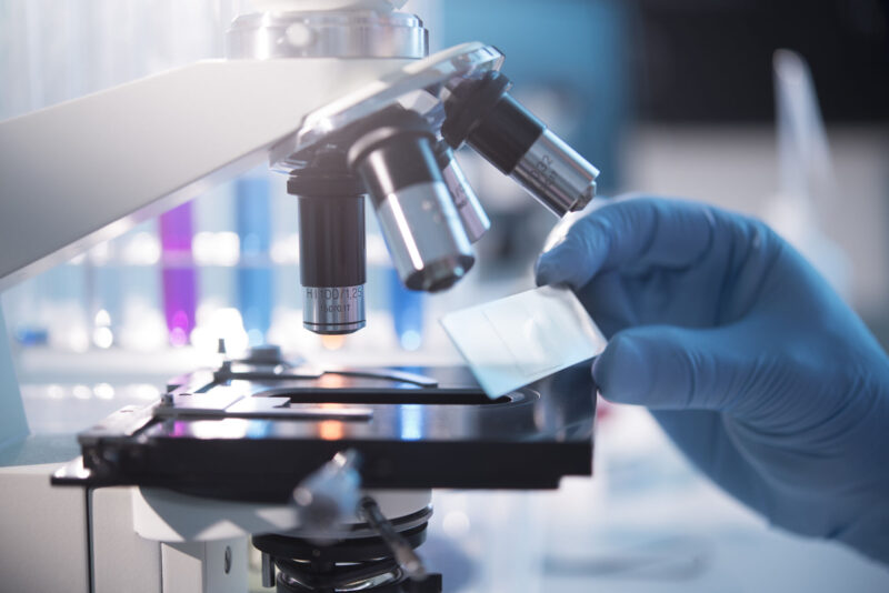 Translational Pathology Department