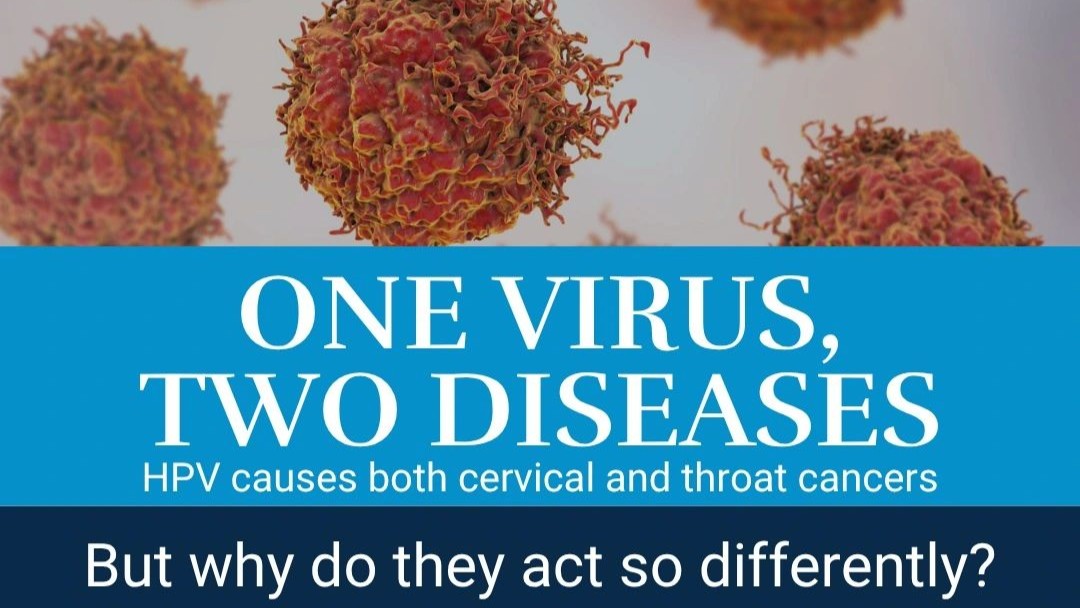 Why Do Viruses Act So Differently? – Sbarro Health Research Organization
