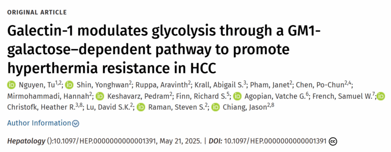 UCLA Study Identifies Key Protein that Helps Liver Cancer Resist Heat-Based Treatment