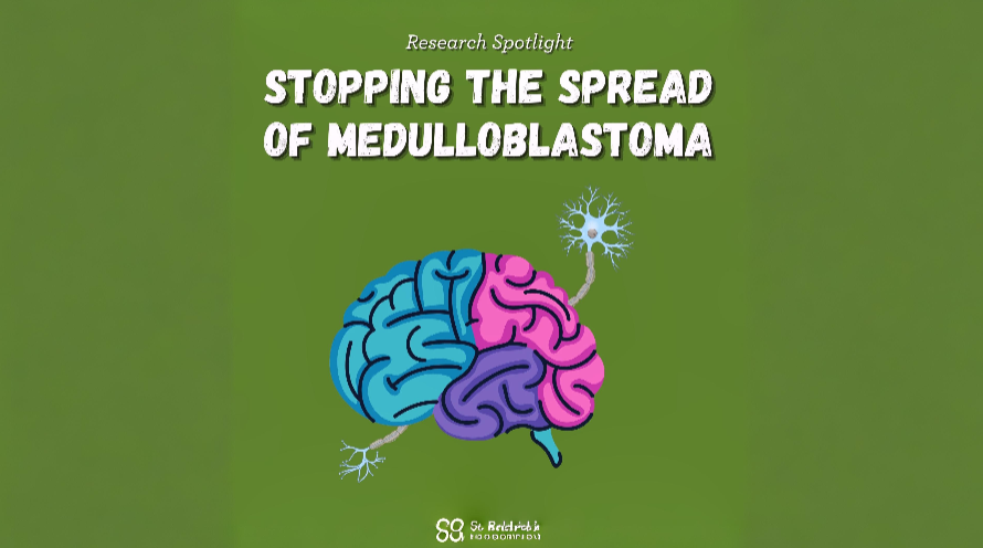 Research Spotlight: Treating Medulloblastoma – St. Baldrick’s Foundation