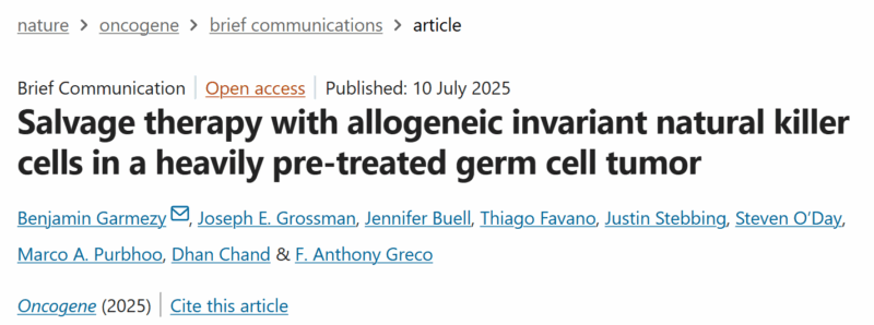 Hung Trinh: iNKT Cells at the Interplay Between Innate and Adaptive Immune Responses