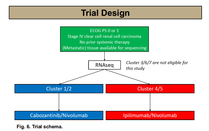 OPTIC RCC Trial 
