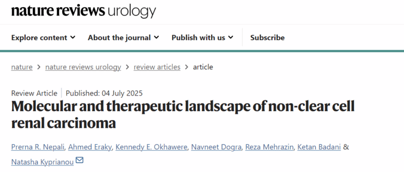Emre Yekedüz: Fantastic Review For Non-clear Cell Renal Cell Carcinoma