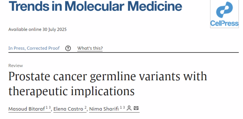 Elena Castro: Germline Variants With Therapeutic Implications in Prostate Cancer