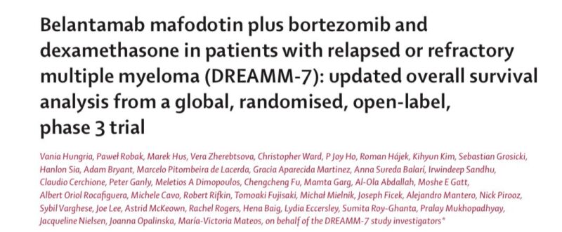 Mohamad Mohty: DREAMM-7 Marks a Step Forward in Relapsed Myeloma