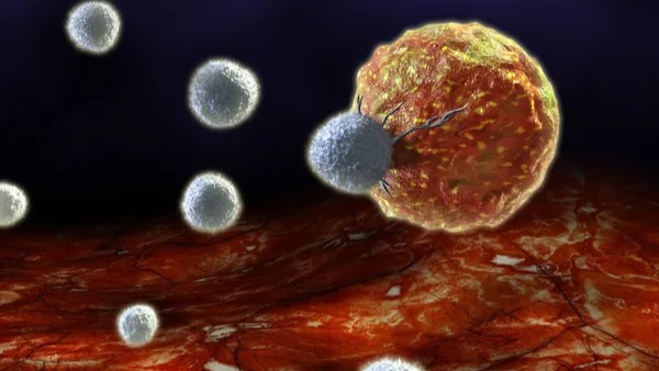 George Kumar: NIH Case Study Finds Virus Drives Creation of Cancer Cells in Context of Defective T Cells
