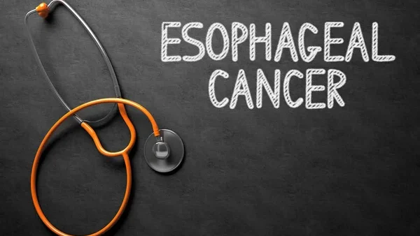 The ICR – How the Most Common Form of Oesophageal Cancer Adapts to Survive