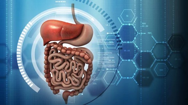 Yan Leyfman: Key Trends Across Colorectal, Gastric, Pancreatic, and Rare GI Cancers
