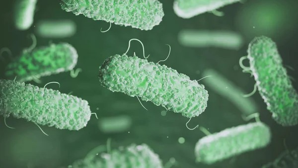 Maria Babak: How One Gut Microbe Can Reshape the Immune Response to Cancer