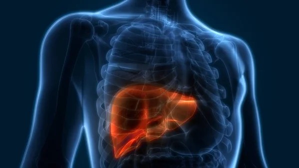 AIM-HI Portfolio Company Yiviva Reports Promising Phase 2b Results for YIV-906