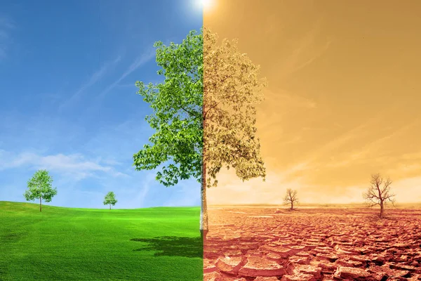 Climate Change and Cancer: Protecting Vulnerable Populations 1 Climate Change and Cancer, global warming and cancer