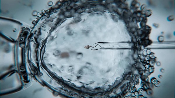 Olubukola Ayodele: Existing Guidelines on NHS-Funded IVF in England