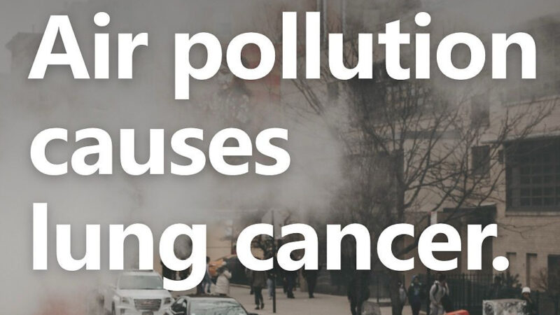 Lung Cancer Europe – Is This the Clearest Evidence Yet That Air Pollution Causes Lung Cancer?