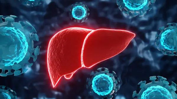 A New Study Found that, Three in Five Liver Cancer Cases Could Be Prevented – UICC