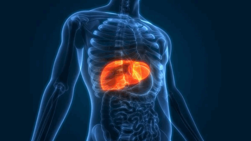 Spotlighting the Cutting-Edge Research on Pre-Malignant Liver Disease – GENIAL-Horizon Europe
