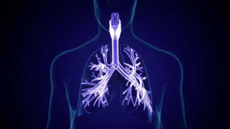 An Overview and Guide for Patients by ALK-Positive NSCLC Patients and Medical Experts