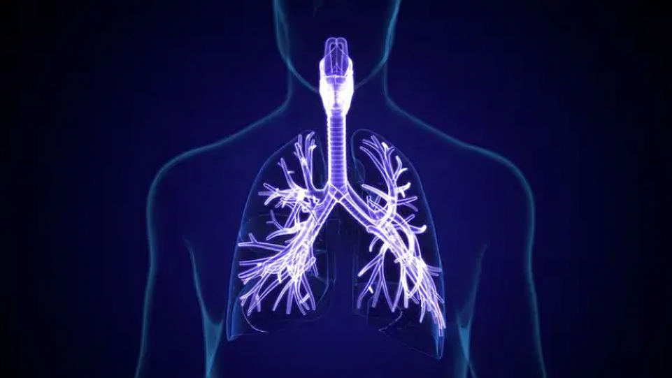 Strengthen Your Skills in Delivering Precision NSCLC Care to Your Patients – LUNGevity Foundation