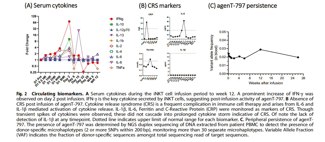 New Paper Alert: Breakthrough iNKT Cell Therapy Achieves Complete Remission in Metastatic Germ Cell Tumor