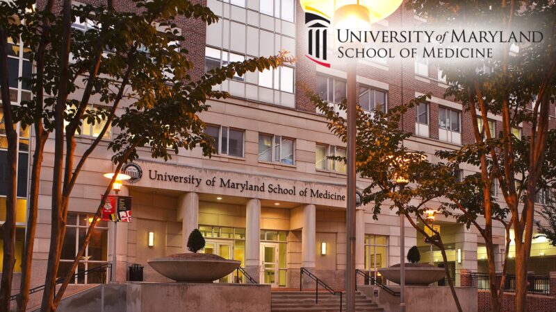 New Research Simulates Cancer Cell Behavior