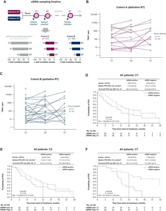 Immuno-Oncology