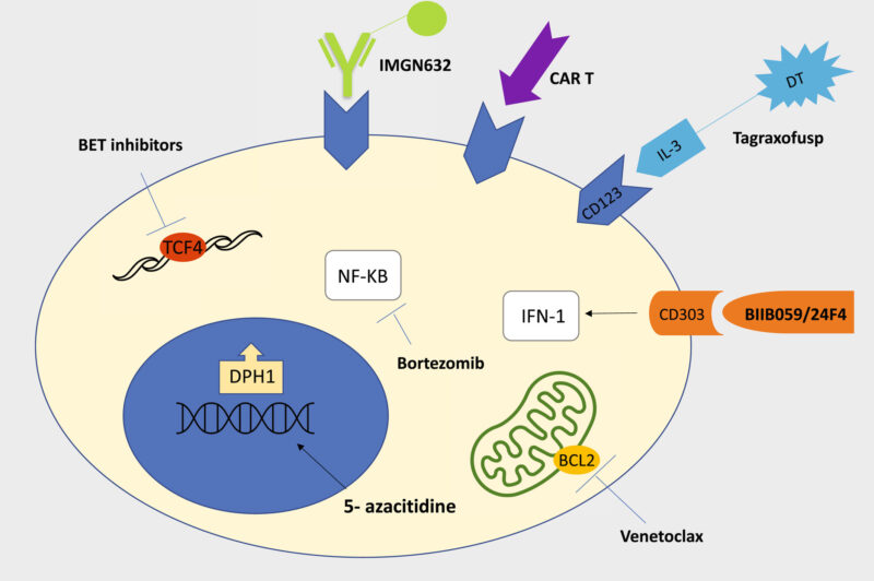 New Series by Nico Gagelmann: Rarity in Hematology - BPDCN