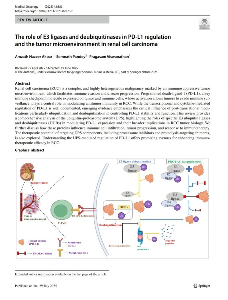 10 Must-Read Posts in Immuno-Oncology This Week
