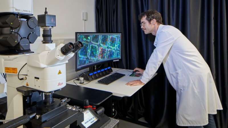 How Advances in Microscopy are Transforming Structural Biology at the ICR