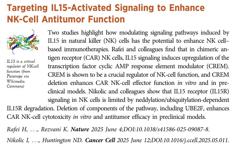 immuno-oncology