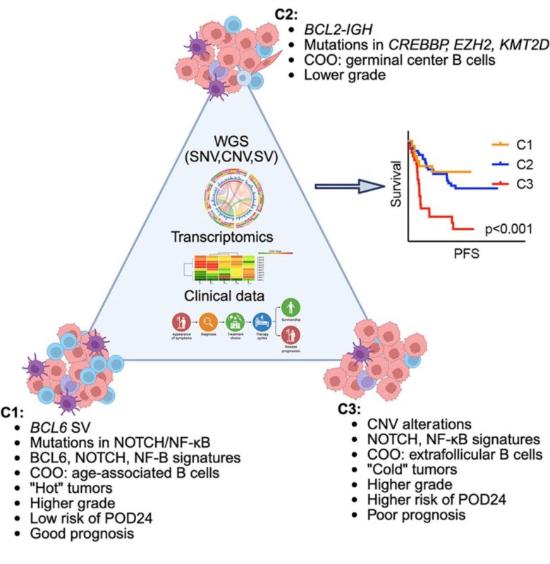 George Kumar: FL is Not a Single Disease Entity, But a Spectrum of Molecularly Distinct Subtypes