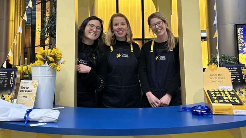 Hayley Jones: McCabe Centre Supports Daffodil Day with 38,000 Daffodils for Cancer Awareness