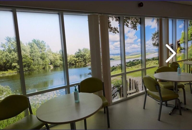 Julie McCrossin Highlights How Art and Nature Meet in Cancer Care Spaces