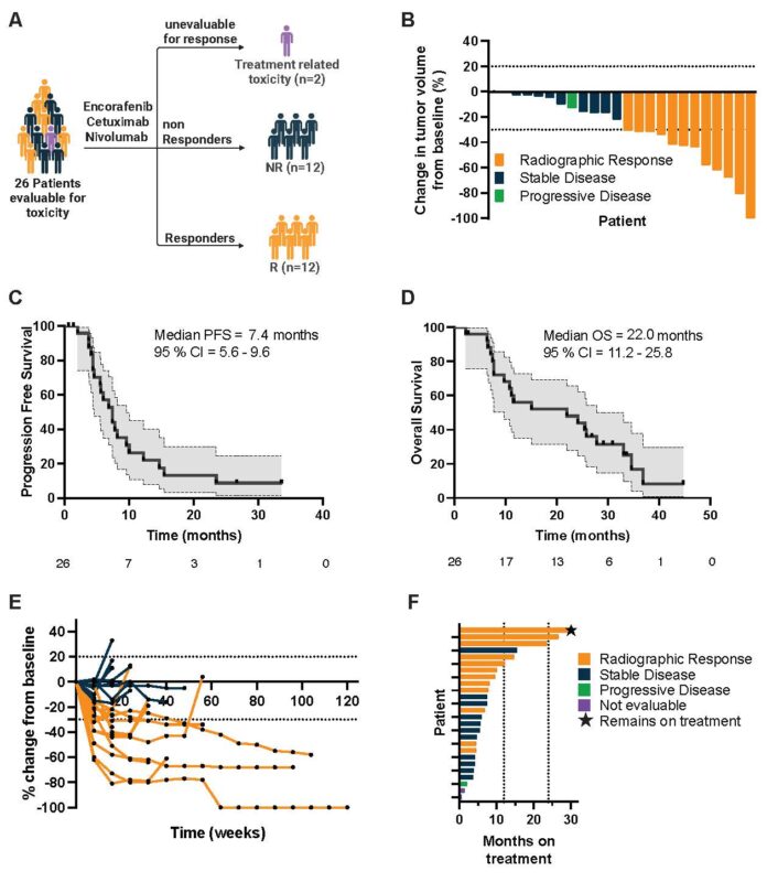 Van Morris: Encorafenib, Cetuximab, and Nivolumab in MSS BRAF V600E mCRC